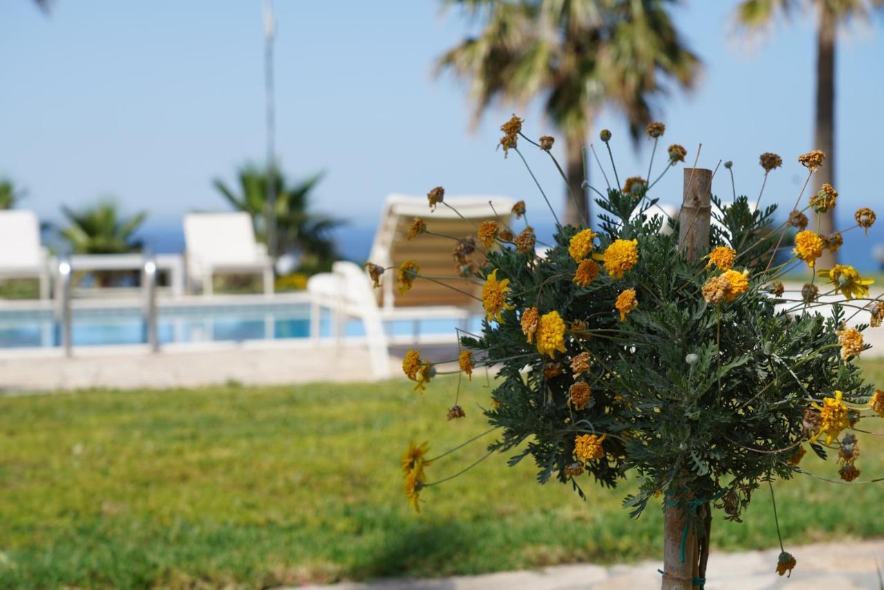 Aneria Suites Episkopi-Chania Zewnętrze zdjęcie